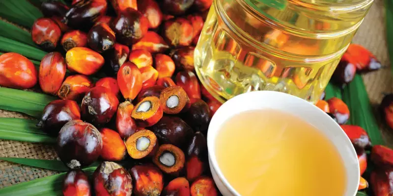 ക്രൂഡ് സോയാബീന്‍-സൂര്യകാന്തി ഇറക്കുമതിക്ക് പച്ചക്കൊടി 