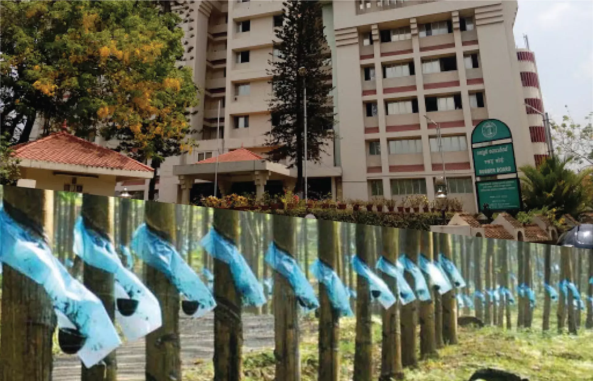 റബ്ബര്‍ വില തിരിച്ചുവരവിലേക്ക്?