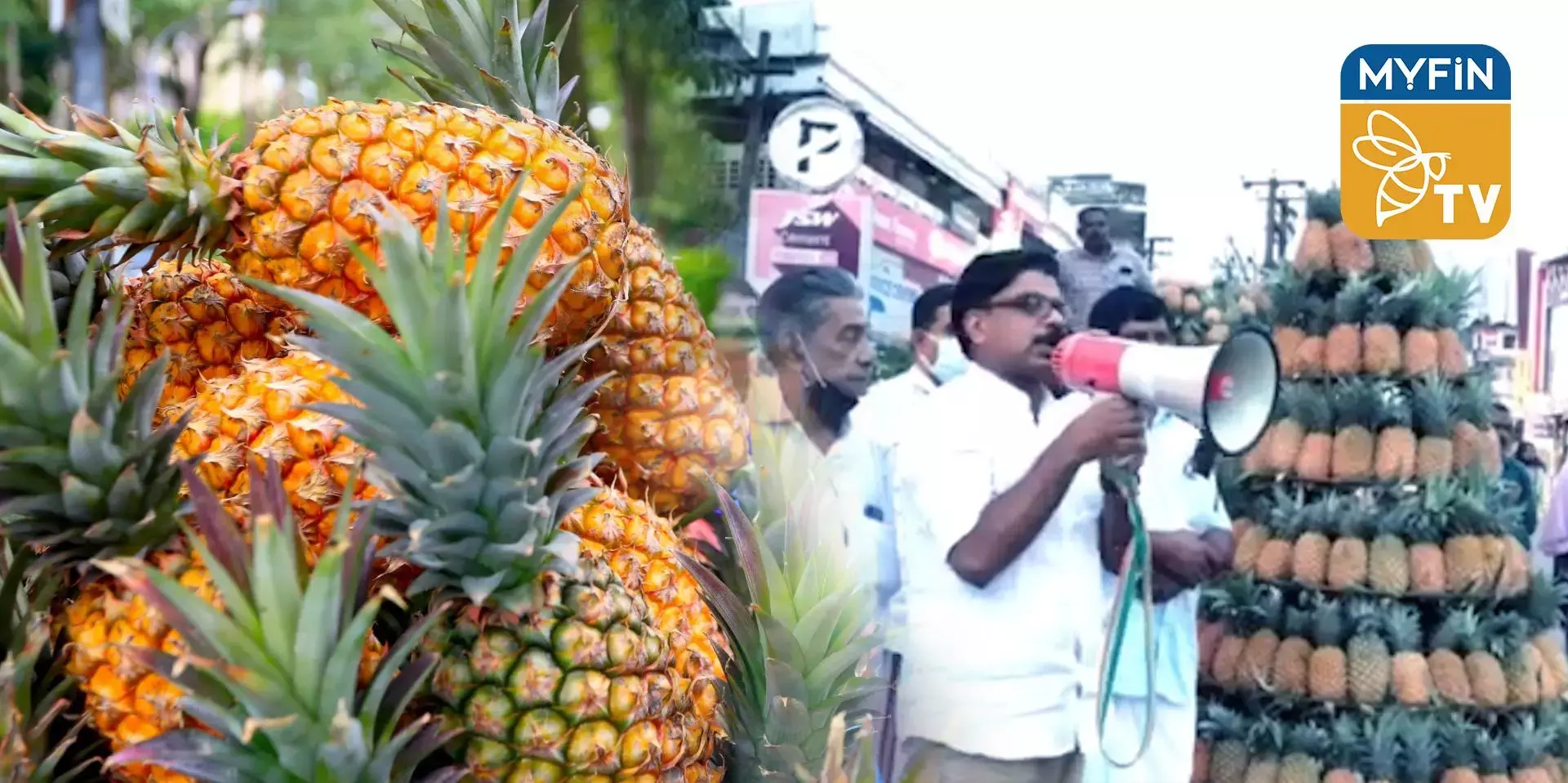 വ്യത്യസ്തമായ പ്രതിഷേധ സമരവുമായി പൈനാപ്പിൾ കർഷകർ
