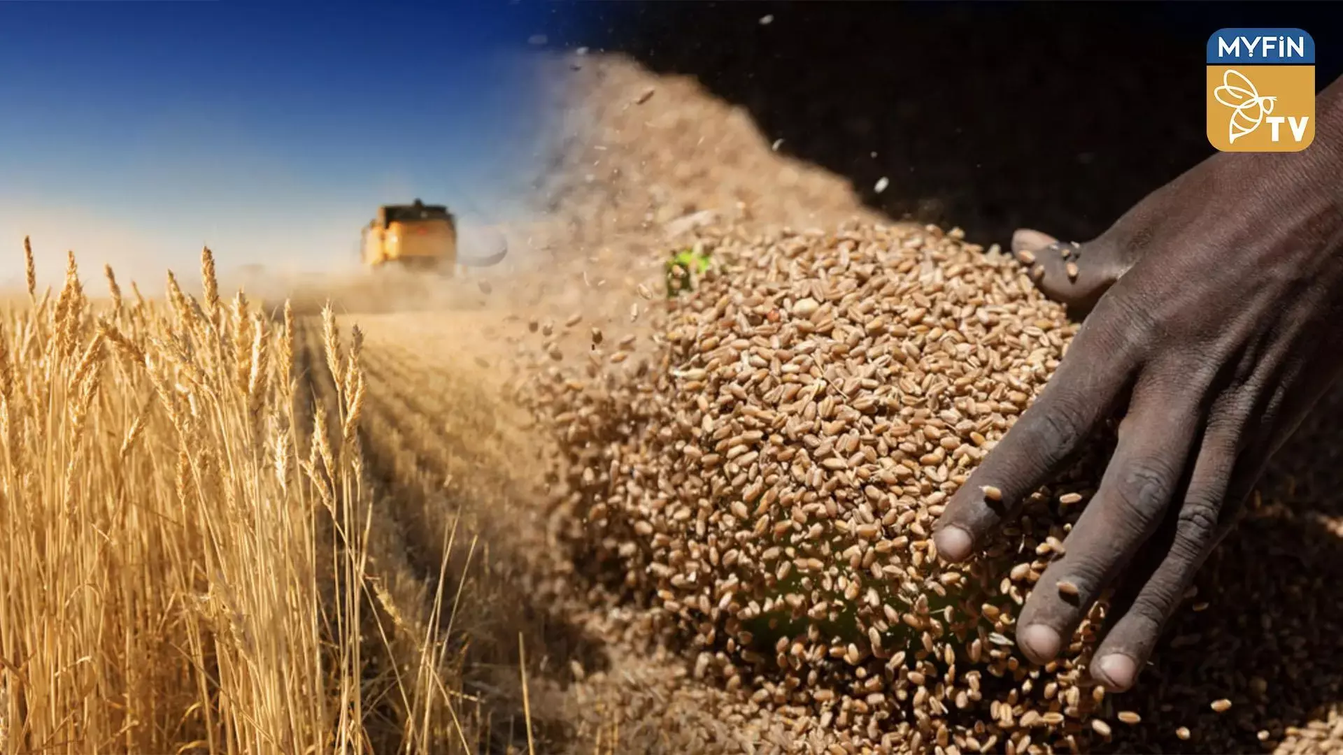 ഗോതമ്പ് കയറ്റുമതി വർദ്ധിപ്പിക്കാനൊരുങ്ങി കേന്ദ്ര സർക്കാർ