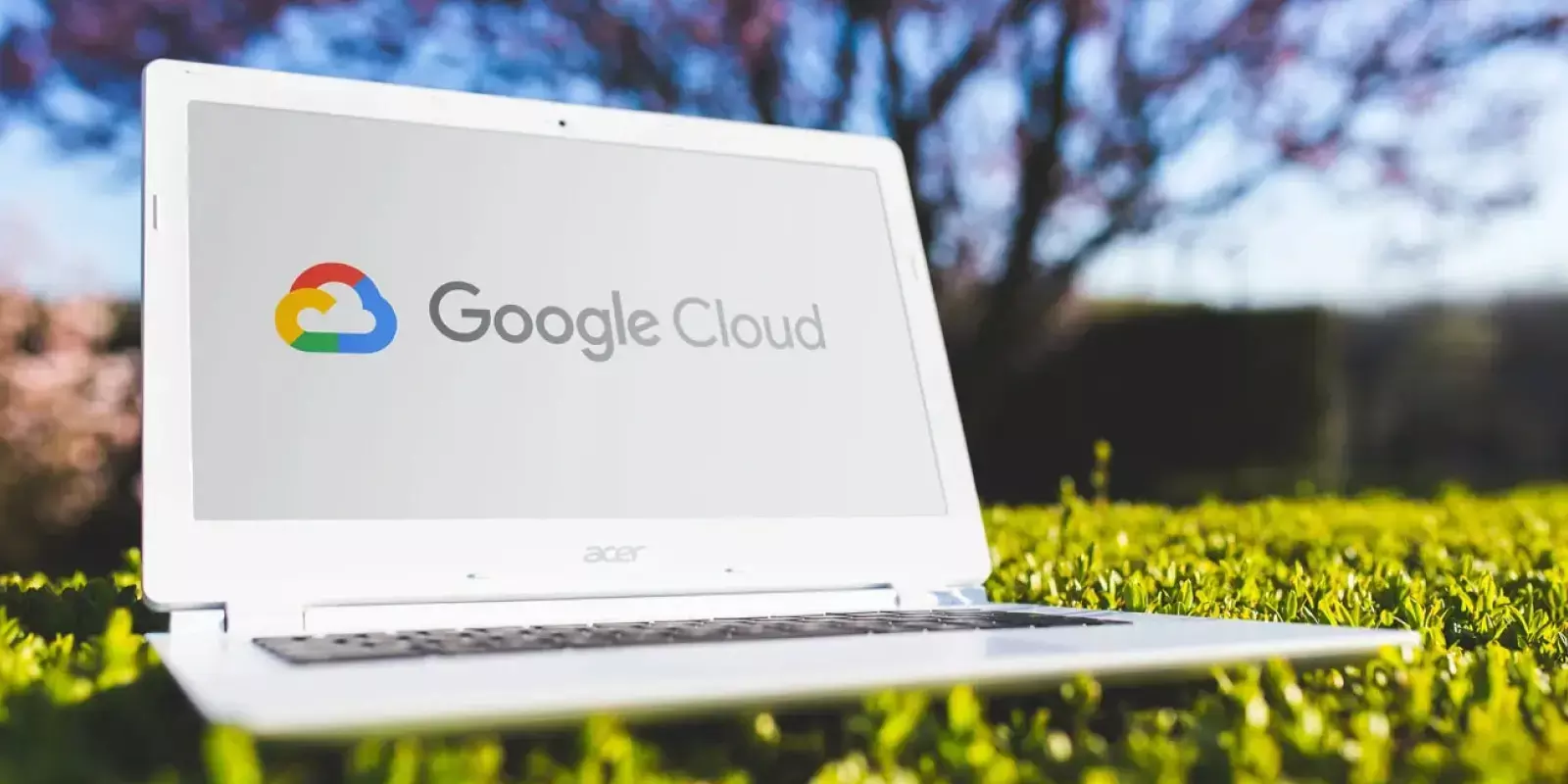 ഷോപ്പിംഗ് മെച്ചപ്പെടുത്താൻ മീഷോയും ഗൂഗിൾ ക്ലൗഡും കൈ കോർക്കുന്നു