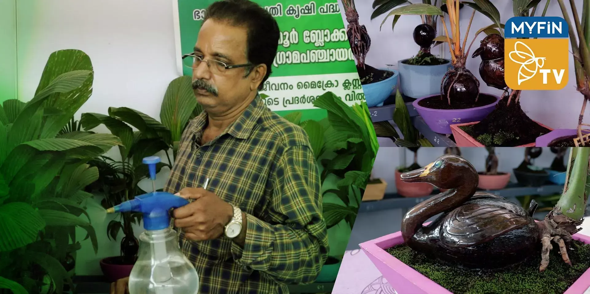 ബോൺസായ് അത്ഭുതങ്ങൾ തീർത്ത് കോഴിക്കോട് കാക്കൂർ സ്വദേശി സുധാകരൻ.