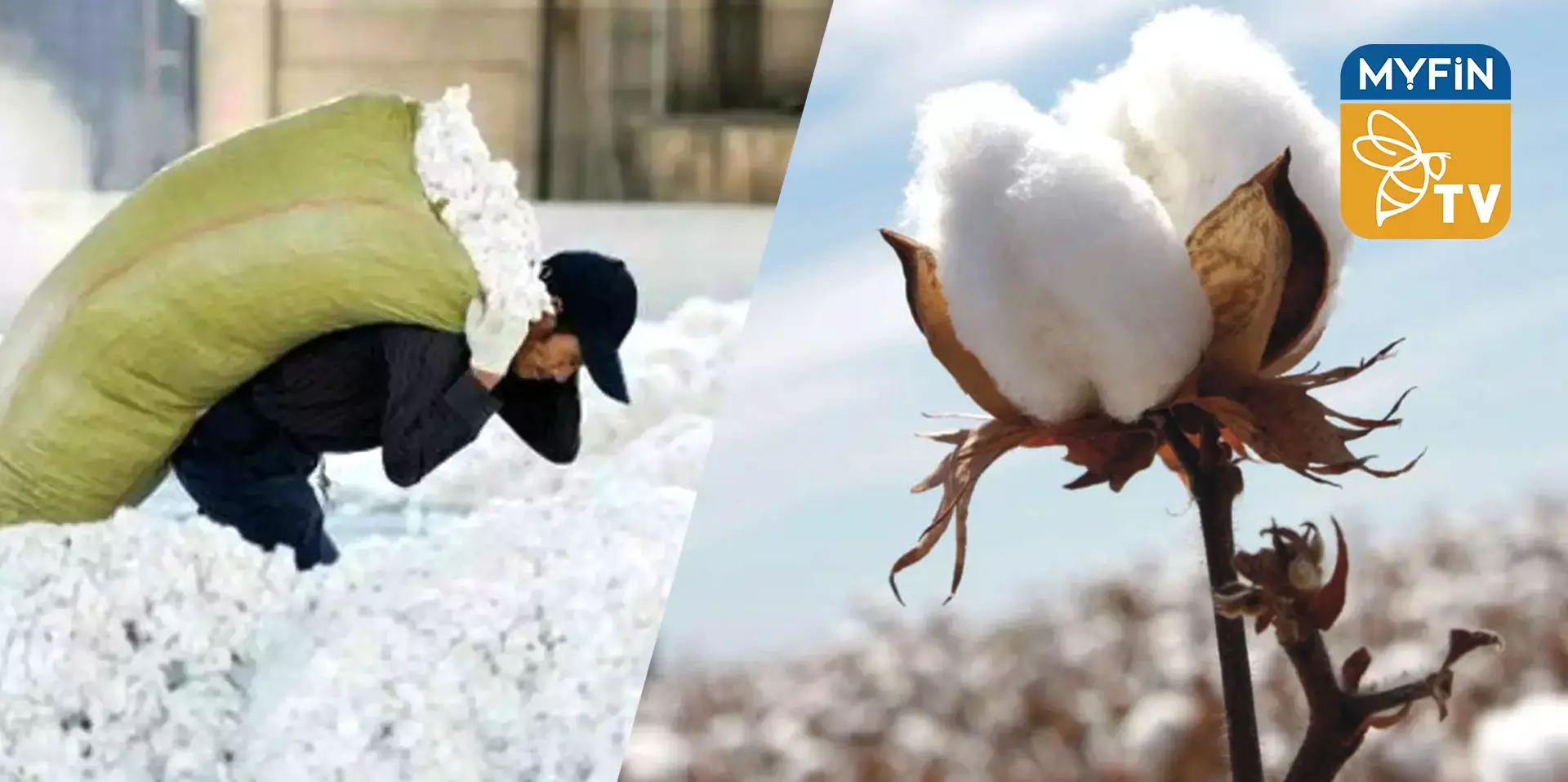 കോട്ടൺ ഇറക്കുമതിയിൽ കസ്റ്റംസ് തീരുവ ഒഴിവാക്കി സർക്കാർ