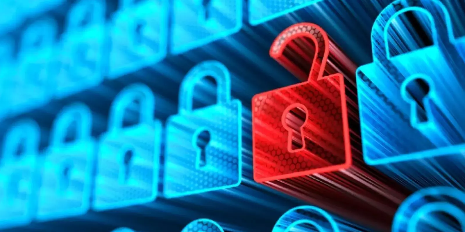 സെക്യുര്‍ഡനിൽ 80 കോടിയുടെ  നിക്ഷേപം നടത്തി ടൈഗര്‍ ഗ്ലോബല്‍ മാനേജ്‌മെന്റ്