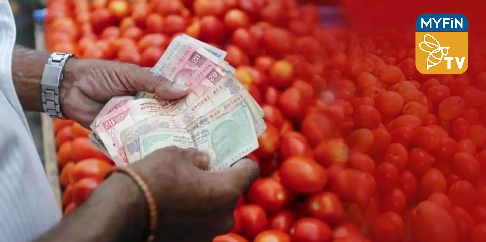 തക്കാളി വില: പ്രതിസന്ധിയിലായി തമിഴ്‌നാട്ടിലെ കർഷകർ.