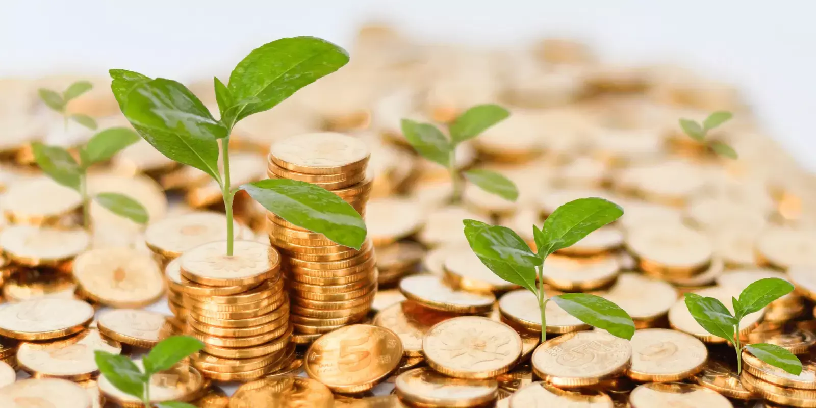 സ്‌മോള്‍ ക്യാപ് ഓഹരികള്‍ കൊയ്തത് 37% നേട്ടം