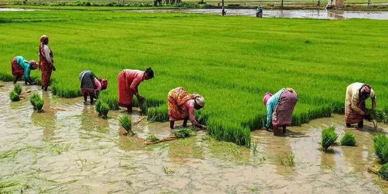 കർഷകരുടെയും, ഗ്രാമീണ തൊഴിലാളികളുടെയും  പണപ്പെരുപ്പം വർധിച്ചു