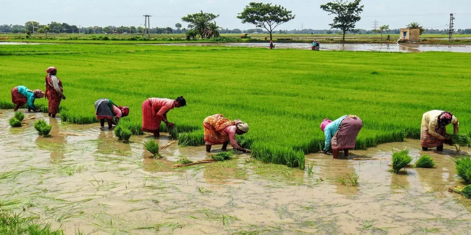 കേരള ഗ്രാമീണ്‍ ബാങ്കിന് 94.12 കോടി നല്‍കി: കെ.എന്‍ ബാലഗോപാല്‍