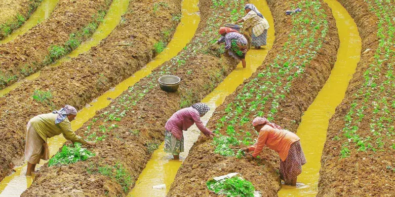 നഗര ഉപജീവന ദൗത്യം: കുടുംബശ്രീയിലൂടെ കേരളം നമ്പർ വണ് നഗര ഉപജീവന ദൗത്യം: കുടുംബശ്രീയിലൂടെ കേരളം നമ്പർ വണ്