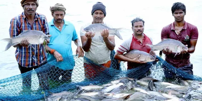 മത്സ്യ ഉൽപ്പാദനത്തിനായി 20,050 കോടിയുടെ പദ്ധതി നടപ്പിലാക്കുന്നു