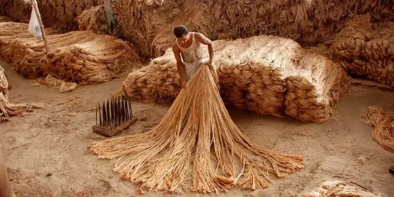 ചണത്തിന്റെ താങ്ങുവില വര്‍ധിപ്പിച്ച് കേന്ദ്രം