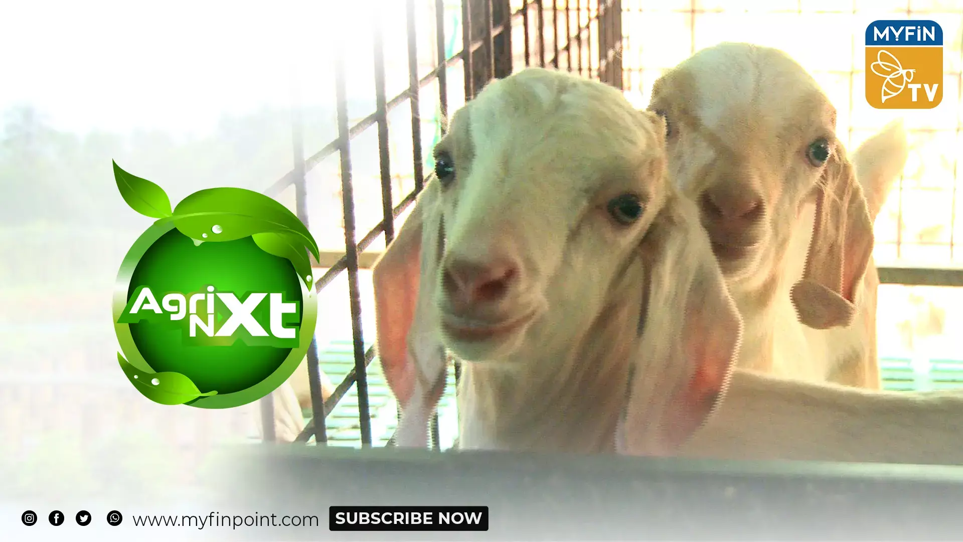 AGRI NXT EPISODE 4