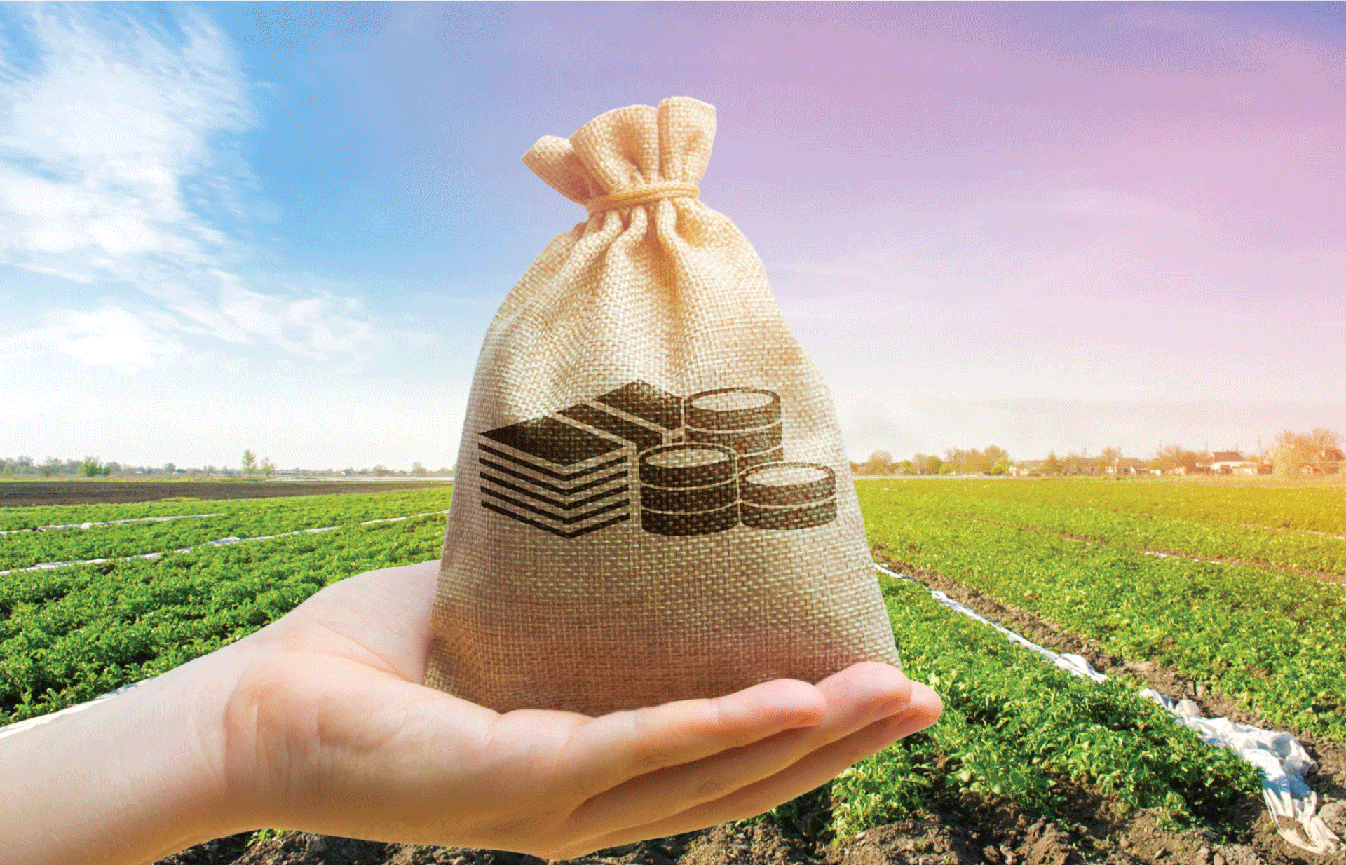 വായ്പയെടുക്കുന്ന സ്ത്രീകളുടെ എണ്ണം വർദ്ധിക്കുന്നു