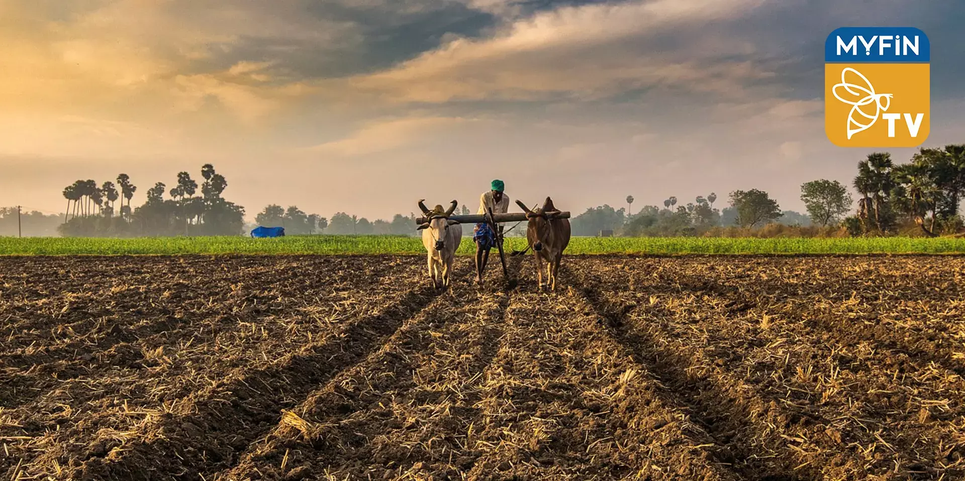 കാർഷിക സഹകരണ  പ്രസ്ഥാനങ്ങള്‍