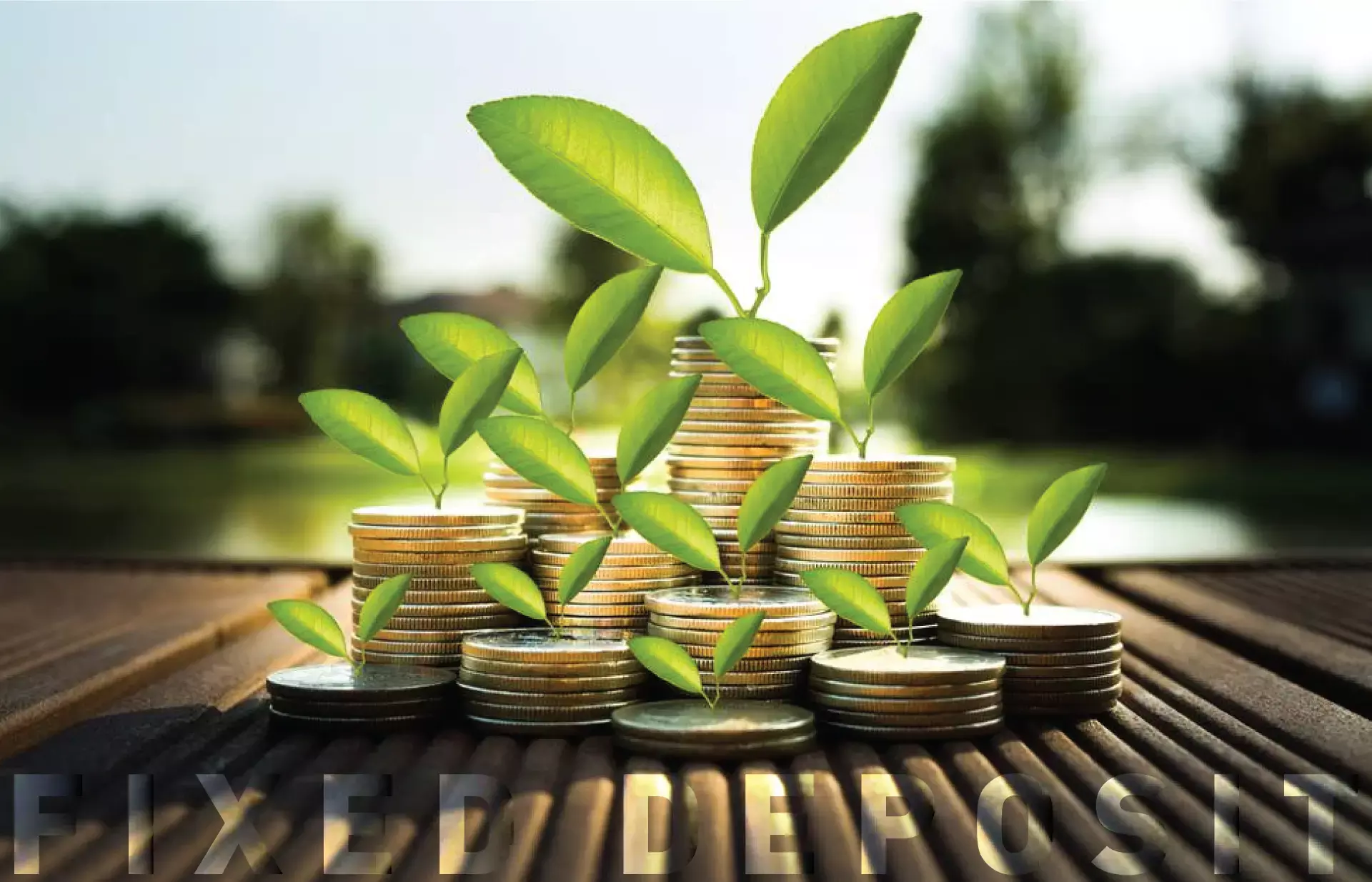 സ്ഥിര നിക്ഷേപം, ഈ അബദ്ധങ്ങള്‍ ഒഴിവാക്കാം