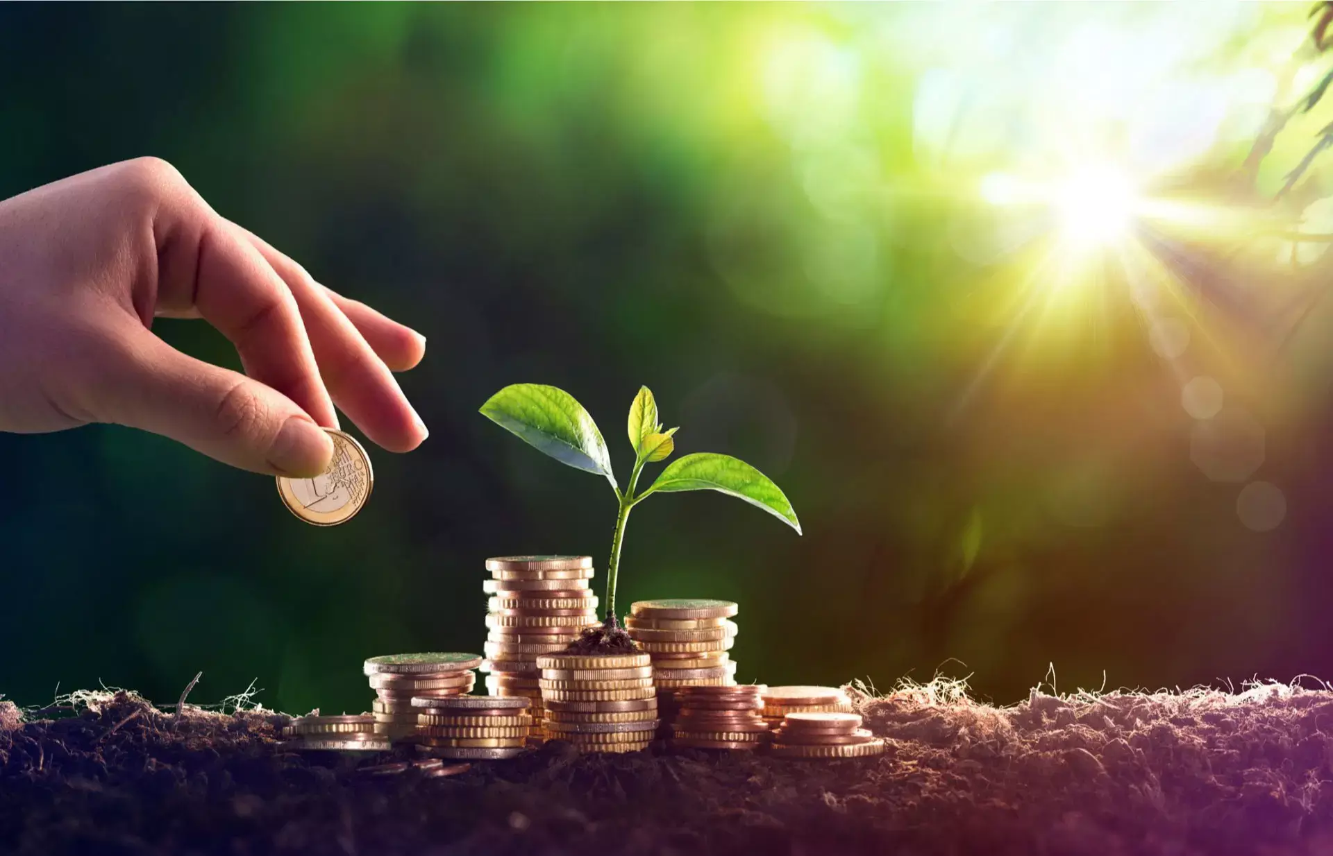 സീഡിംഗ് കേരള: 13 സ്റ്റാർട്ടപ്പുകൾ 80 കോടി രൂപയുടെ നിക്ഷേപം ആകർഷിച്ചു