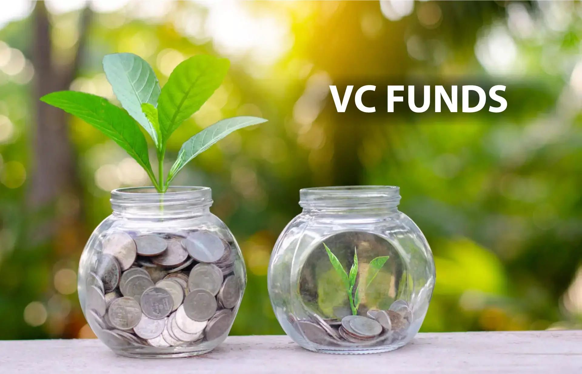 വെഞ്ച്വര്‍ കാപിറ്റല്‍ ഫണ്ടുകള്‍ ആർക്കൊക്കെ സഹായകരം?