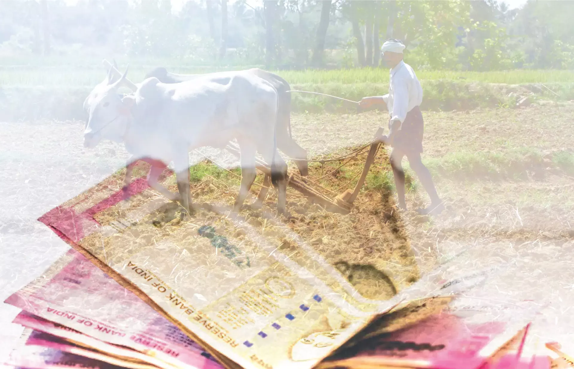 കര്‍ഷക തൊഴിലാളി പെന്‍ഷന് അപേക്ഷ നല്‍കാം