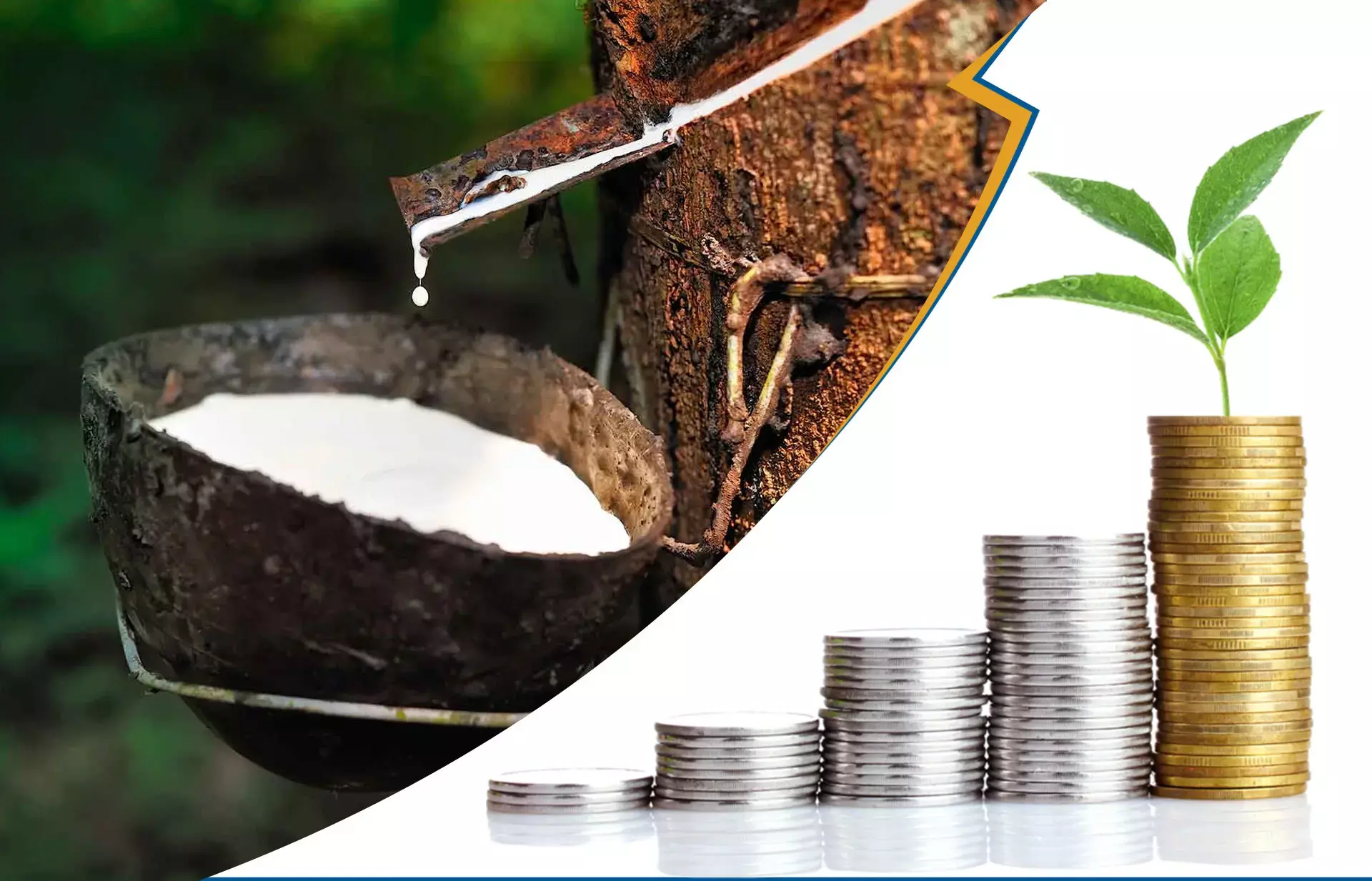 ആഭ്യന്തര റബറിന് നേട്ടം, മഞ്ഞലോഹത്തിന് തിളക്കം