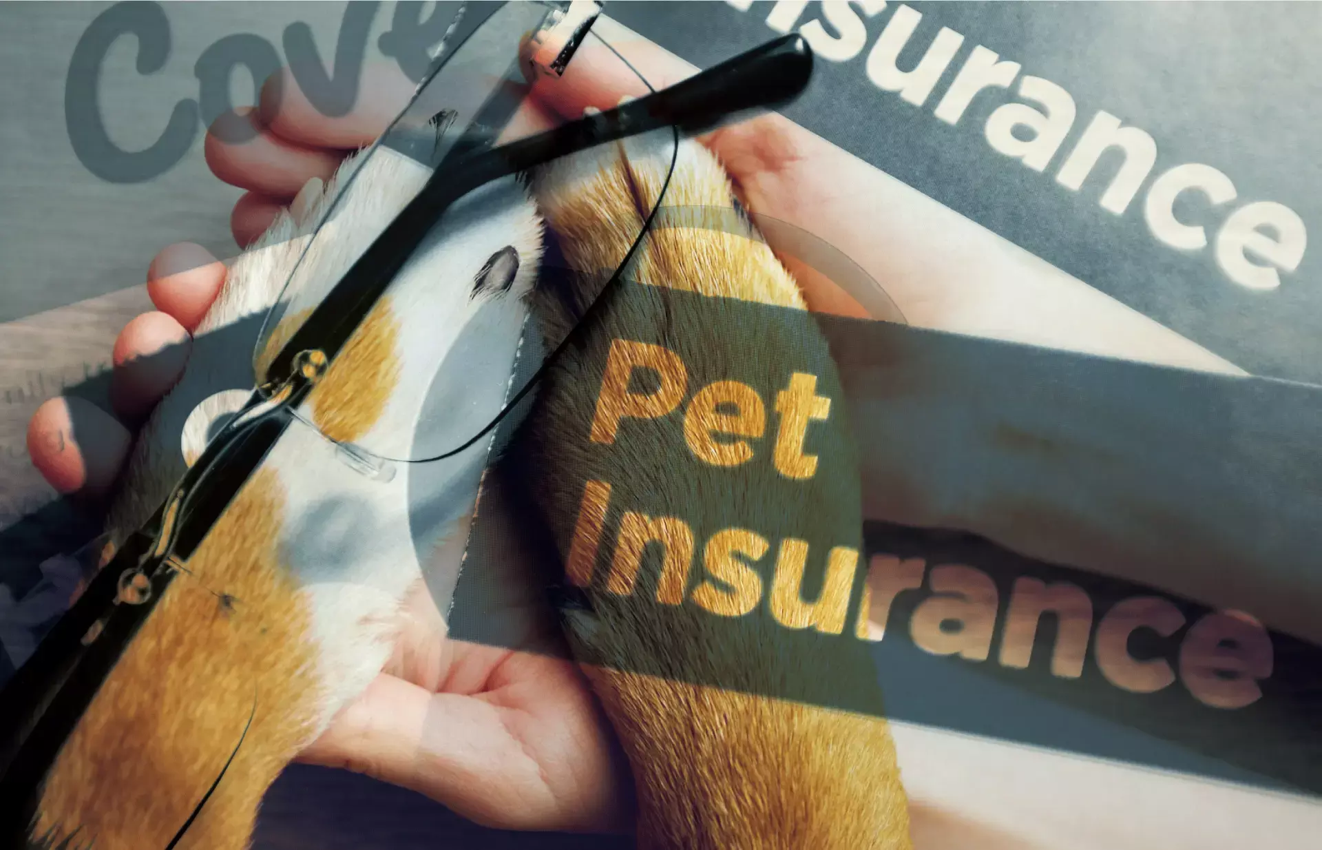 പെറ്റ് ഇന്‍ഷുറന്‍സ്, നേട്ടങ്ങൾ ഇവയാണ്