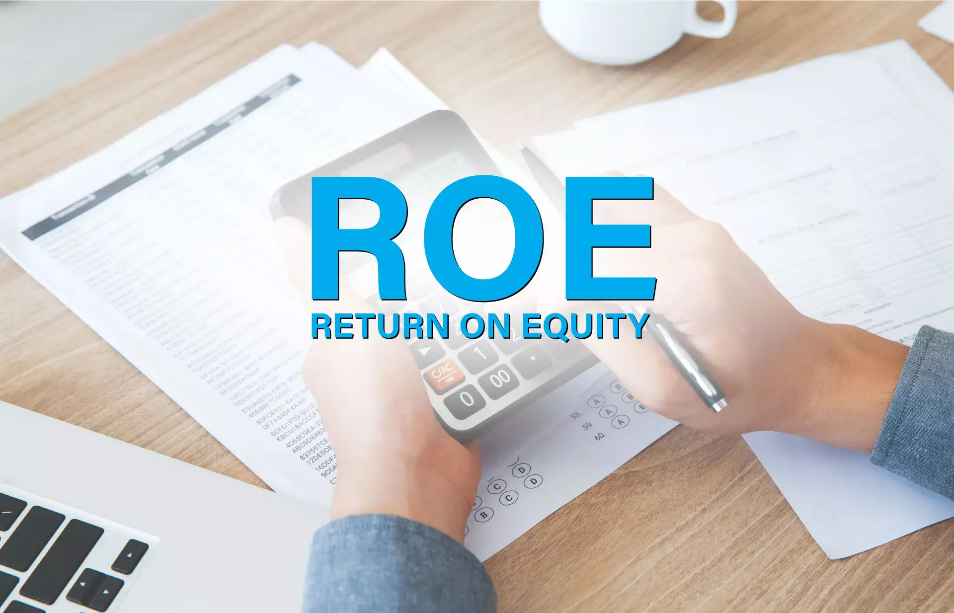 റിട്ടേണ്‍ ഓണ്‍ ഇക്വിറ്റി ലാഭസാധ്യതയുടെ അളവുകോല്‍