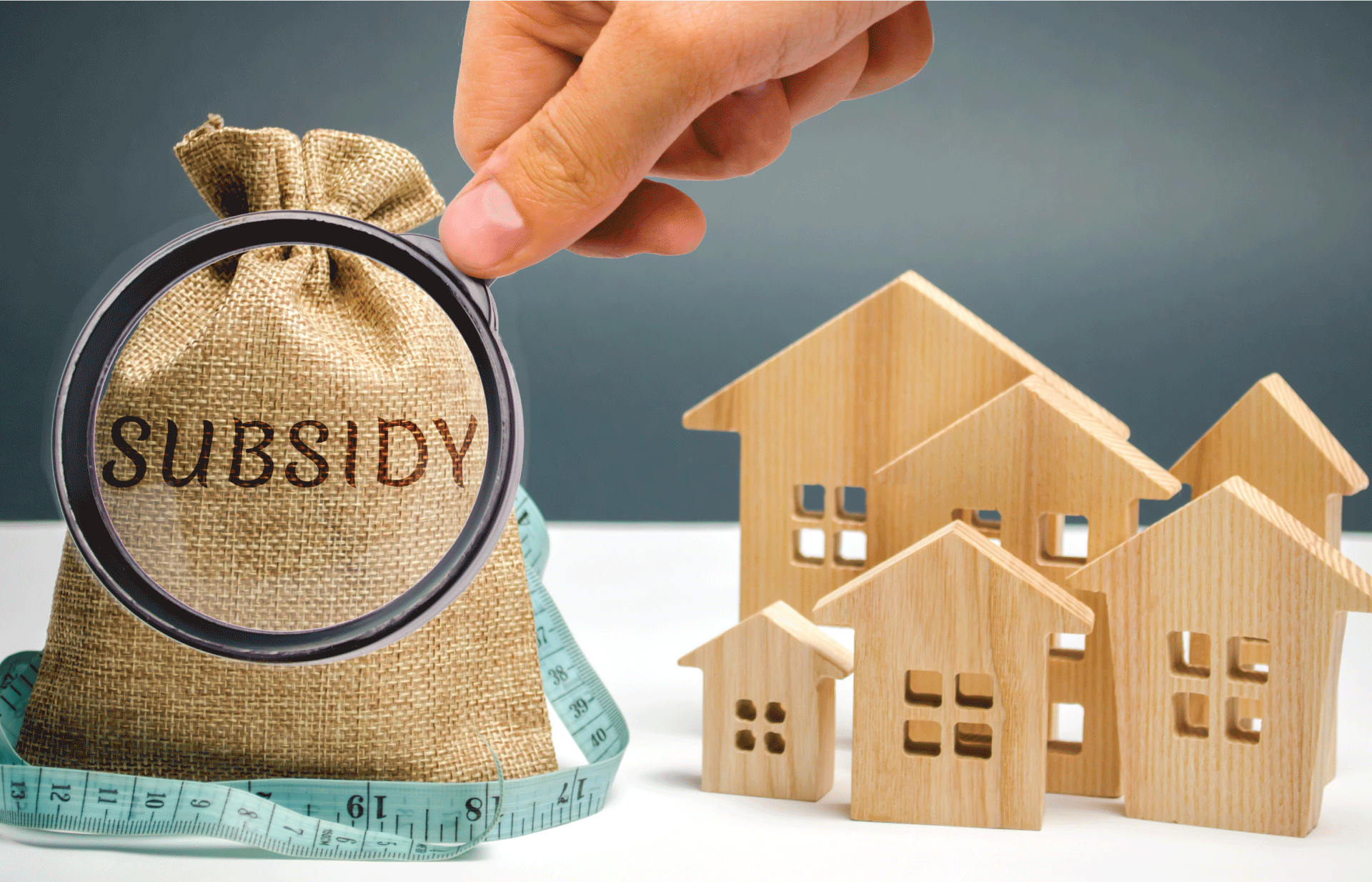 സബ്‌സിഡിയെ അറിയാം