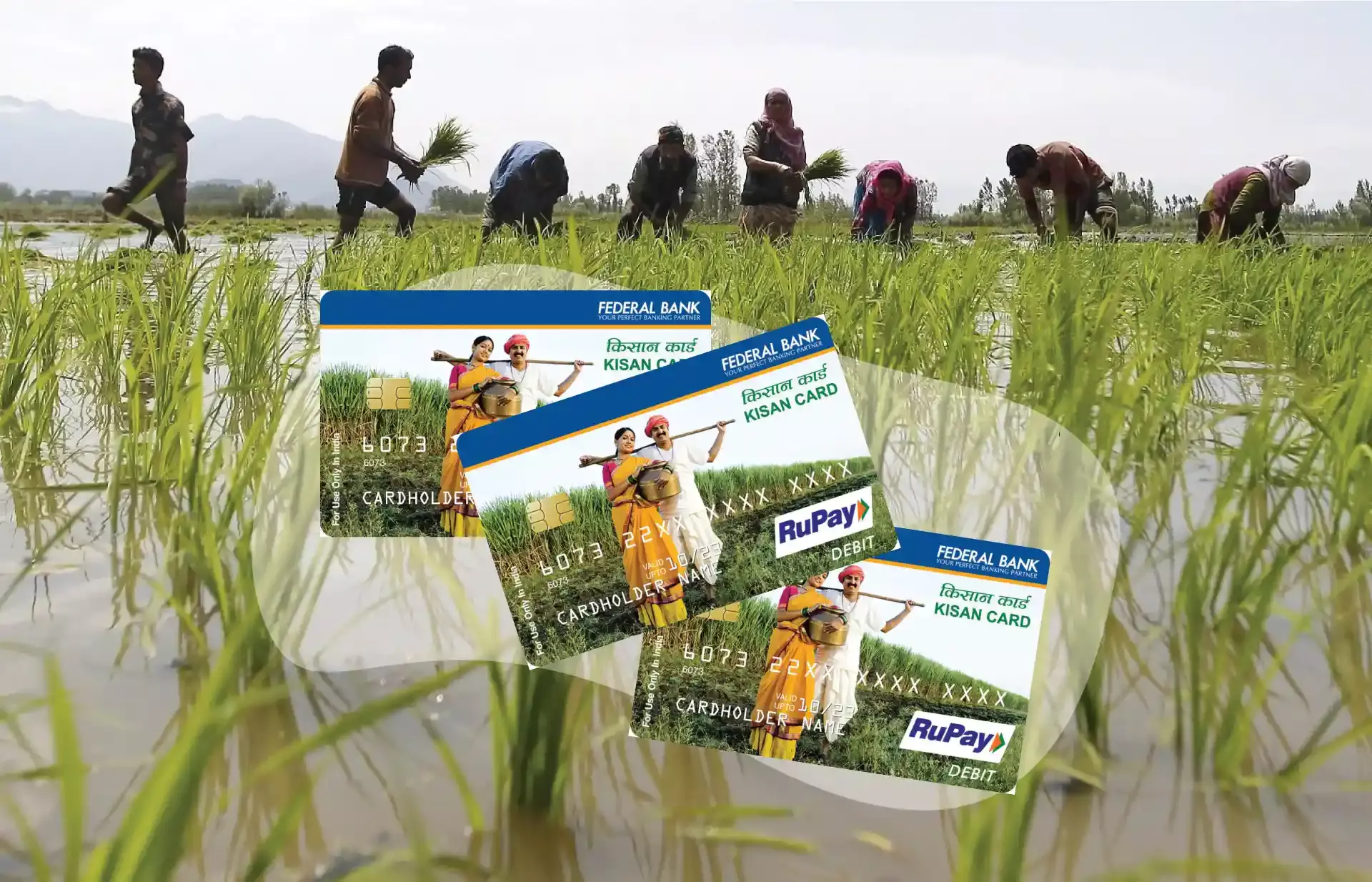 എസ് ബി ഐ കിസാന്‍ കാര്‍ഡ് എങ്ങിനെ എടുക്കാം?