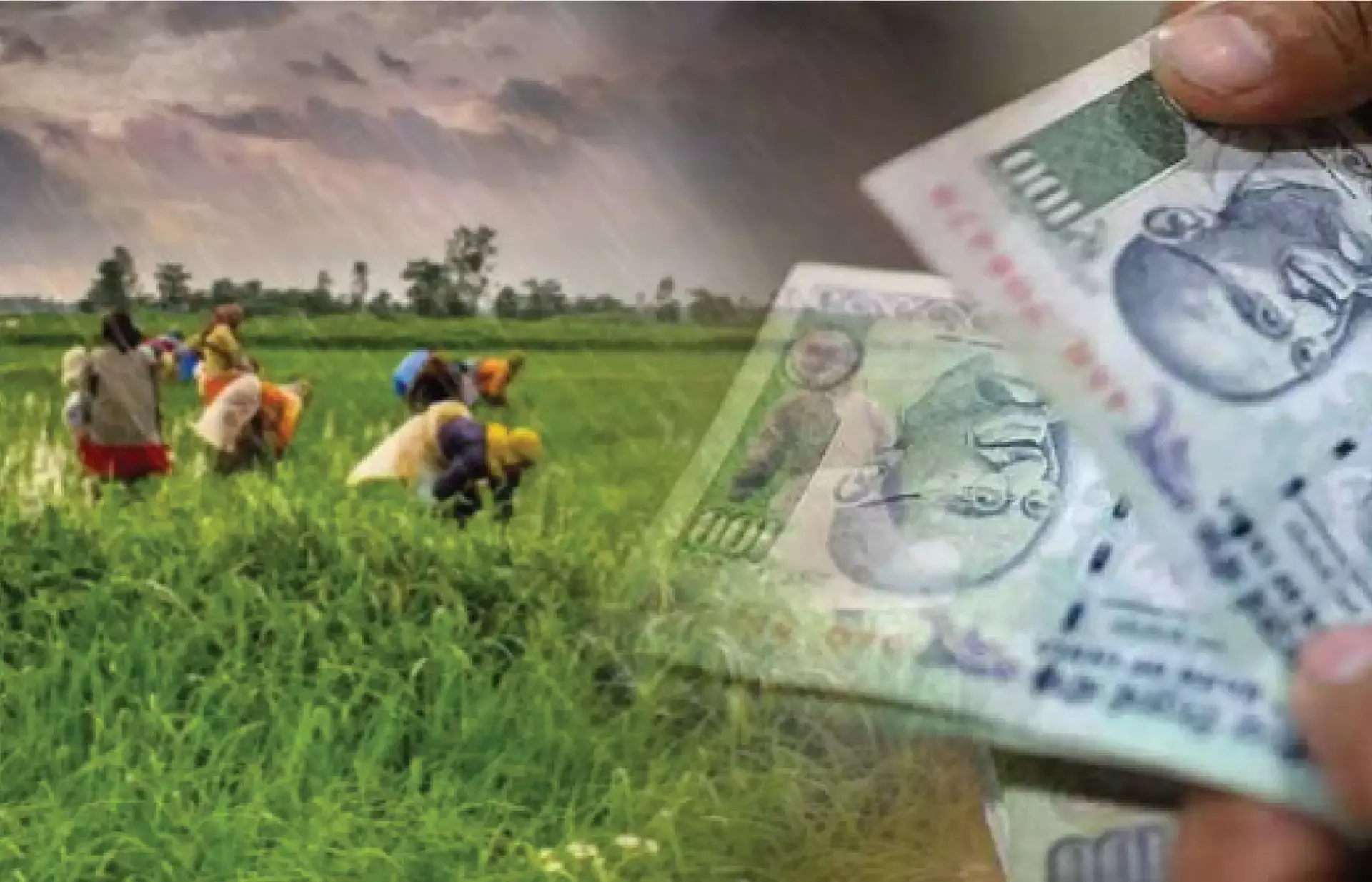 5,000 രൂപ പെന്‍ഷന്‍, കര്‍ഷക ക്ഷേമനിധിയില്‍ അംഗമാകാം