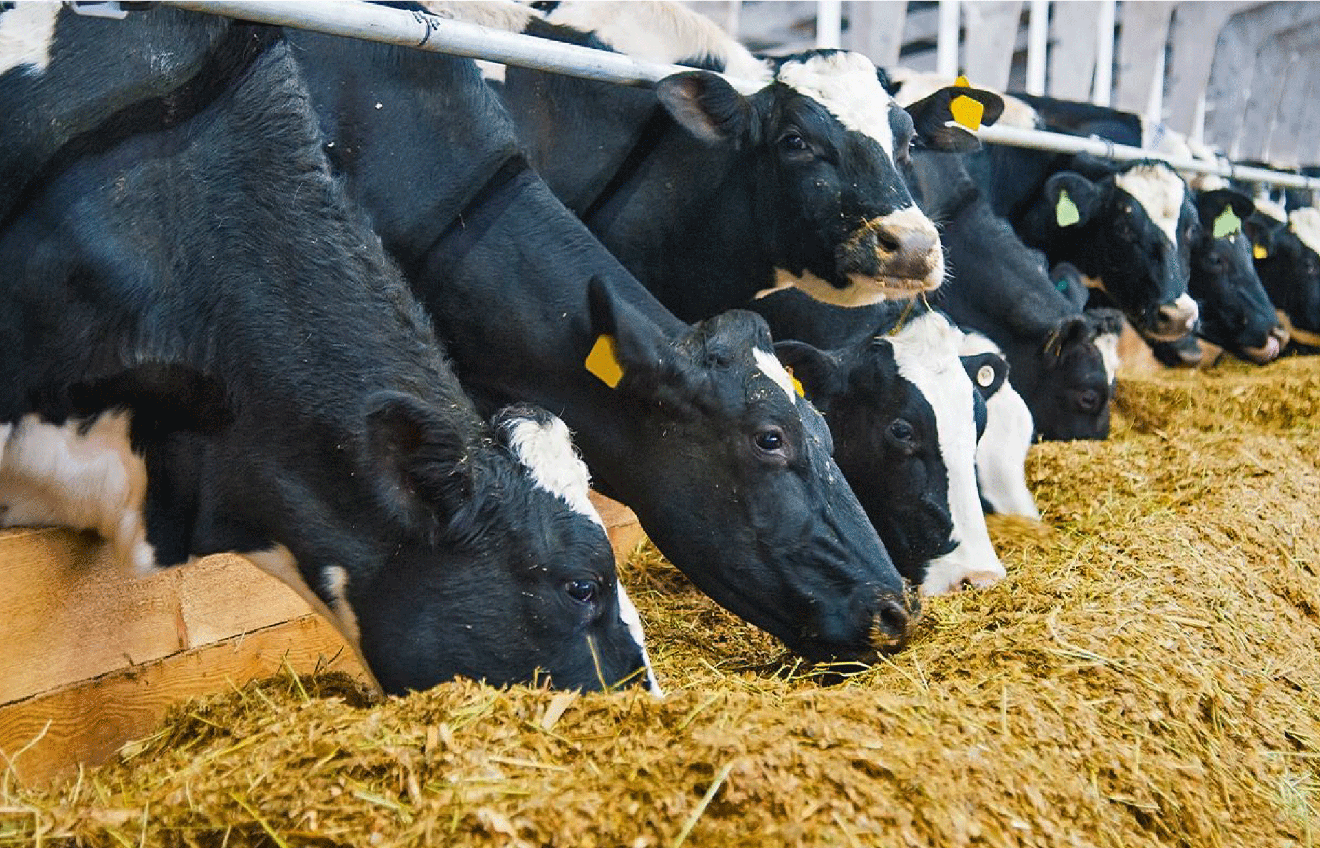 ഫാമുകള്‍ക്ക് 50 ശതമാനം സബ്സിഡിയുമായി സര്‍ക്കാര്‍