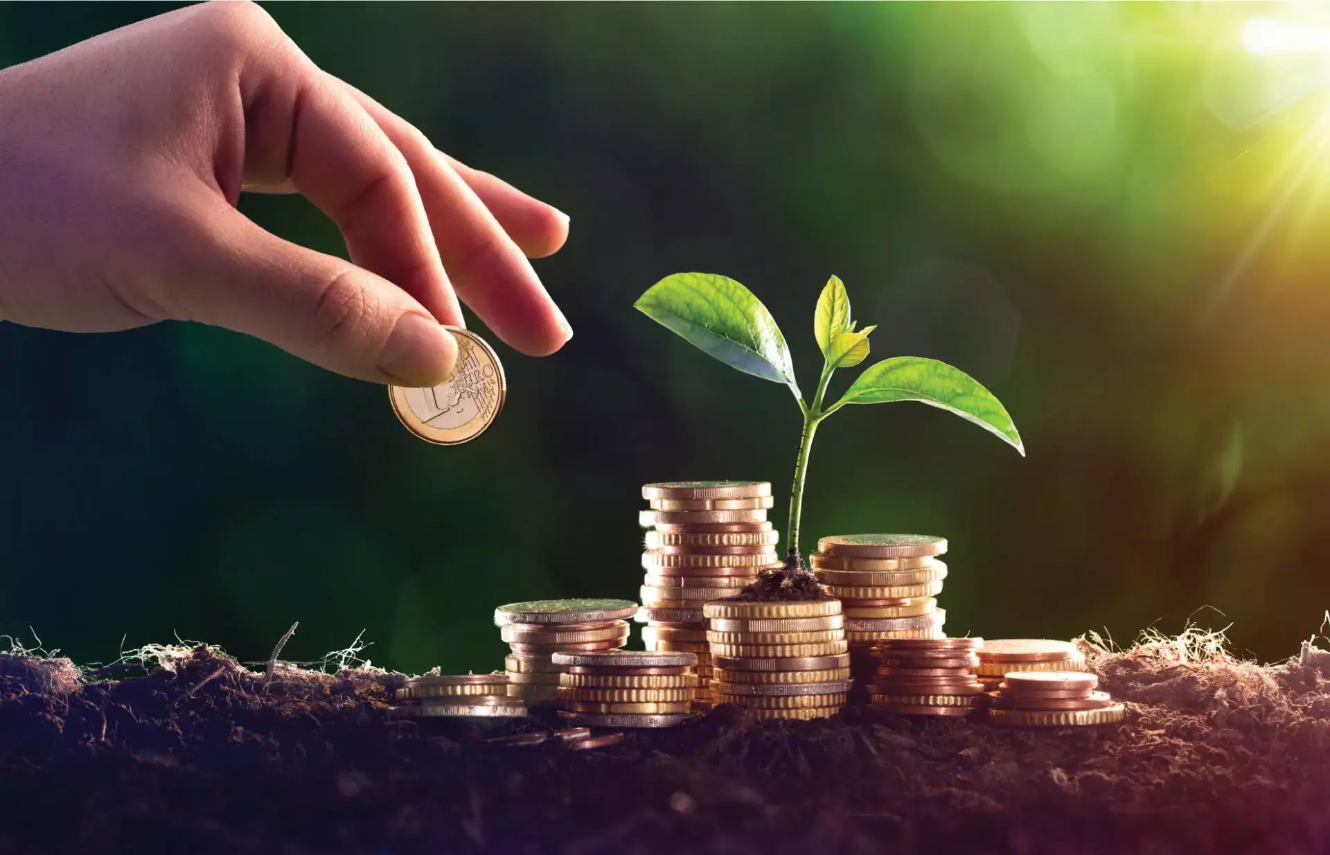 എന്താണീ വാല്യൂ ഫണ്ട്?