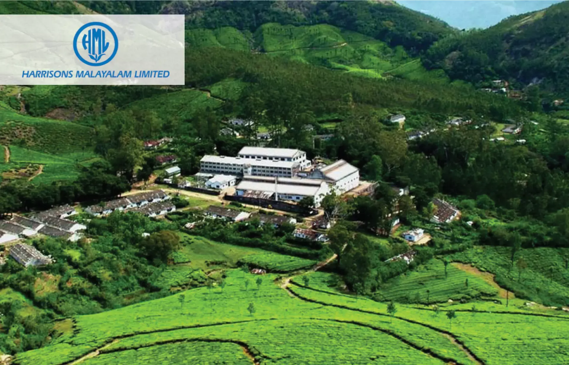 ഹാരിസണ്‍സ് മലയാളം ലിമിറ്റഡ്