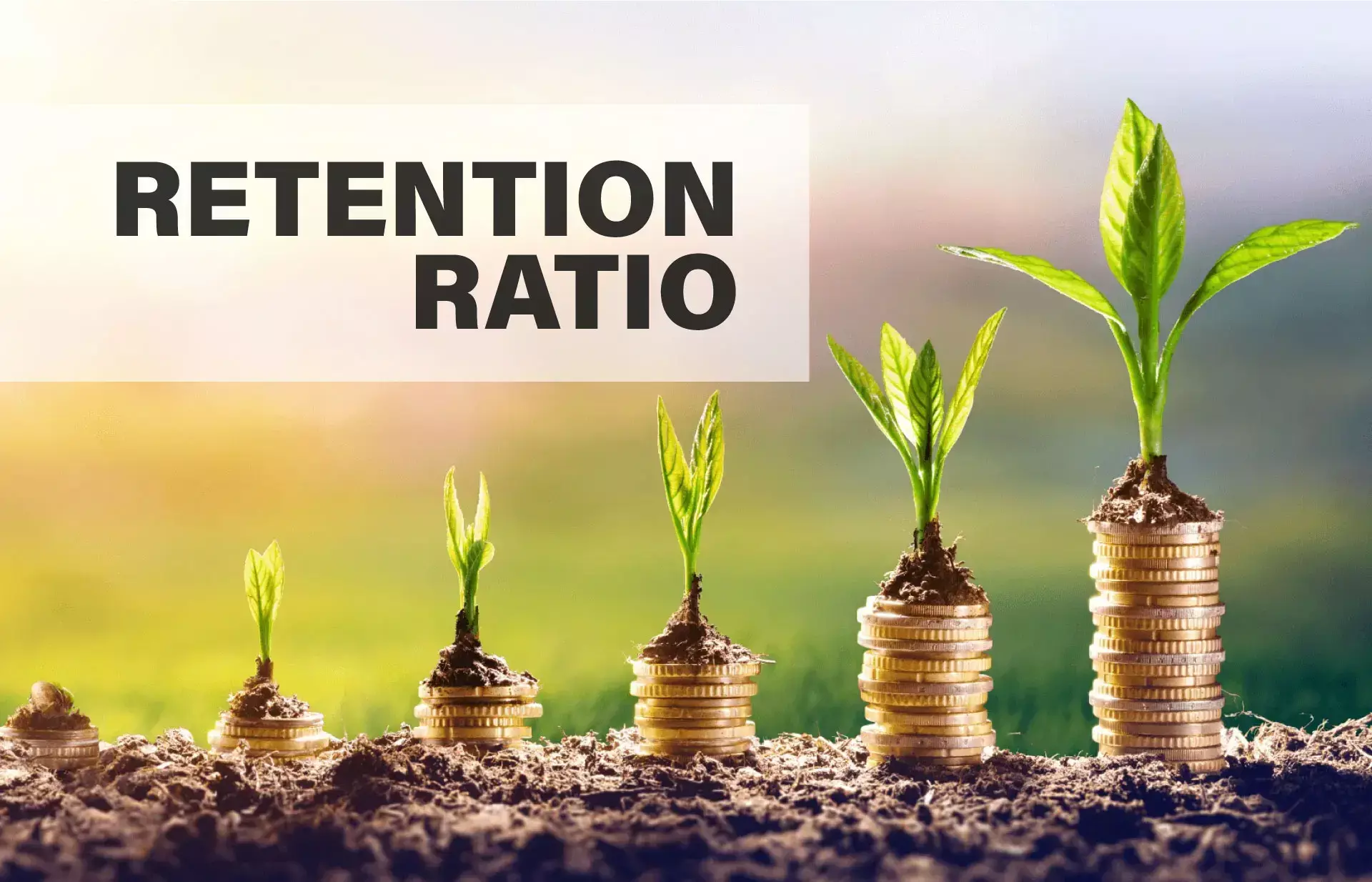 ബിസിനസ് വളർത്താൻ റിട്ടന്‍ഷന്‍ റേഷ്യോ