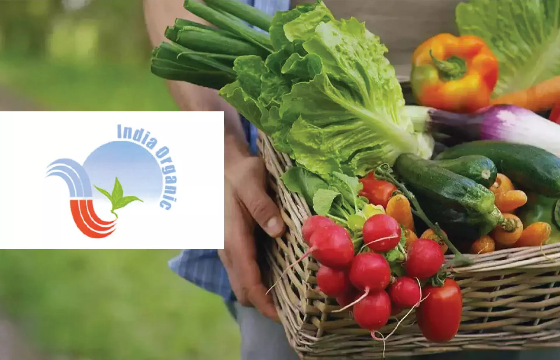 ഇന്ത്യ ഓര്‍ഗാനിക് സർട്ടിഫിക്കേഷൻ  എന്താണ്?