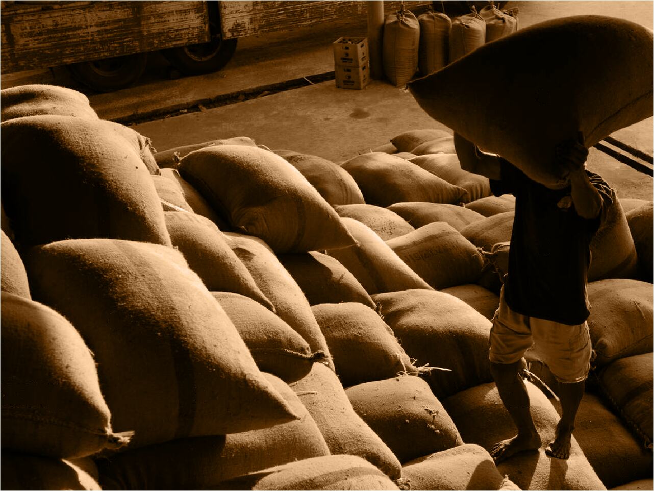 relief for farmers paddy storage amount in 3 days