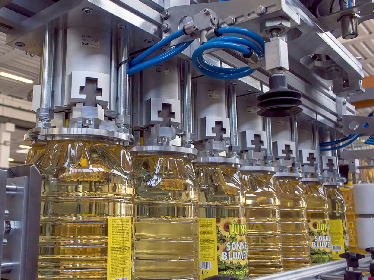 duty has been cut on soya oil and sunflower oil