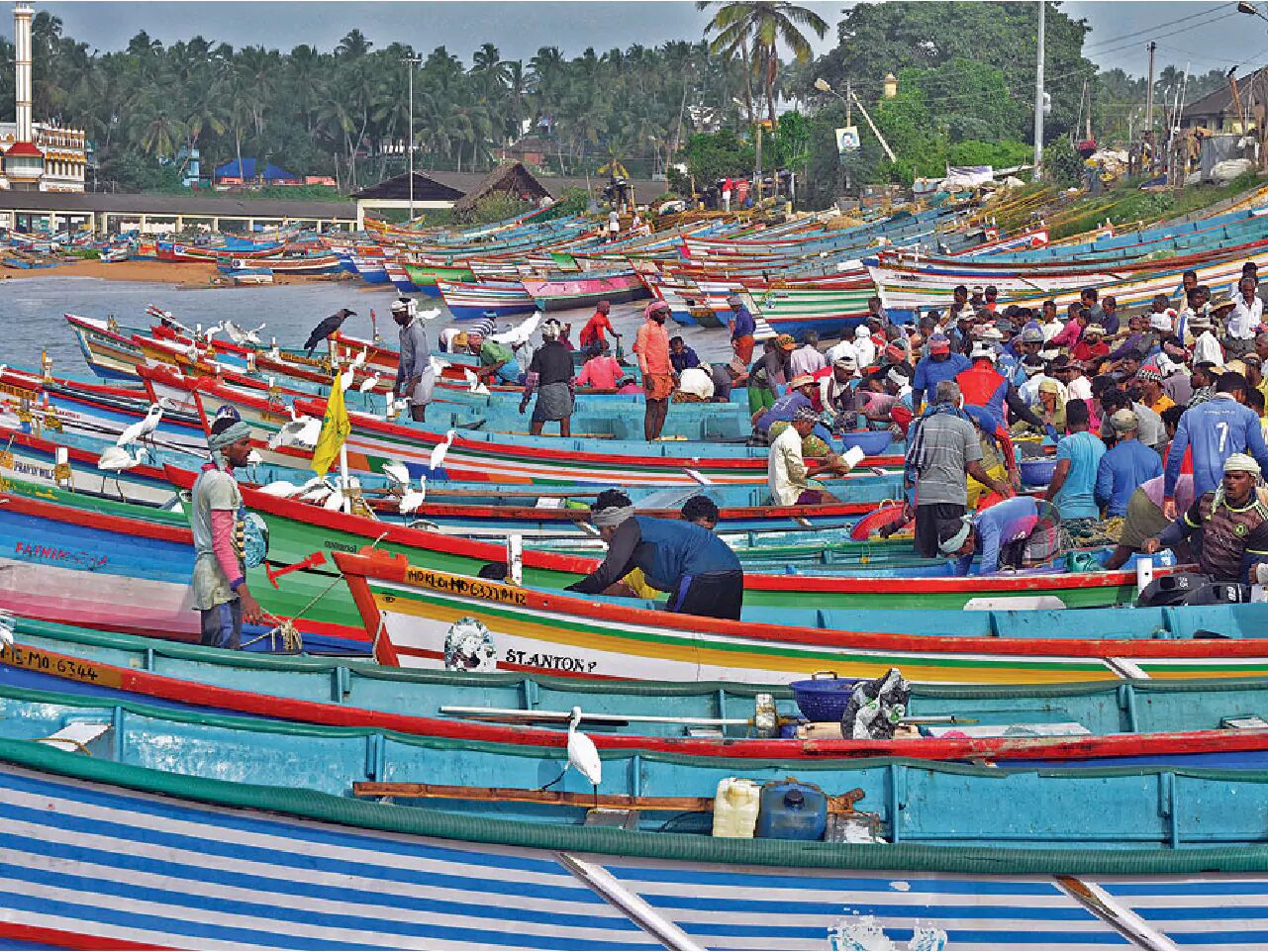 comprehensive development in fisheries sector