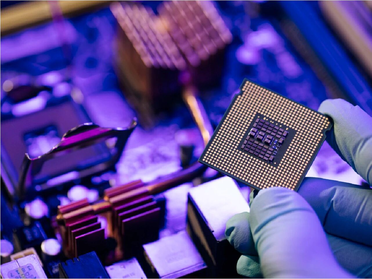 korea to crack down on chip theft in the world